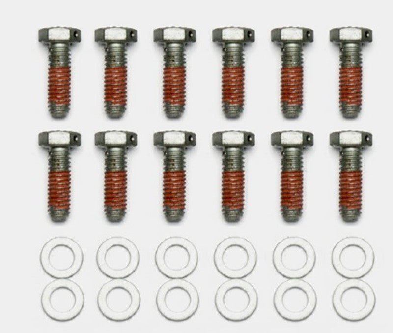 Wilwood Bolt Kit - 5/16-18 x 1.00 LG - 12 pk - eliteracefab.com