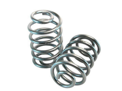 Belltech MUSCLE CAR SPRING SET 92-96 IMPALA/CAPRICE/ REAR - eliteracefab.com