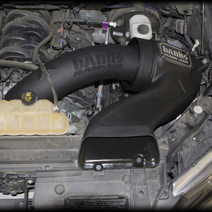 Banks Power 15-17 Ford F-150 5.0L Ram-Air Intake System - Dry Filter - eliteracefab.com