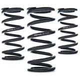 AST Linear Race Springs - 100mm Length x 110 N/mm Rate x 61mm ID - Single