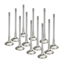 Load image into Gallery viewer, Supertech BMW N54 Turbo 3.0L Inconel Exhaust Valve- Set of 12 - eliteracefab.com