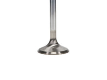 Load image into Gallery viewer, Manley Chrysler Hemi 6.1L 1.625in Race Master B/L Exhaust Valves (Set of 8)