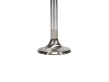 Load image into Gallery viewer, Manley Ford 2300 1.590 in Esslingerin Race Master Exhaust Valve - Single