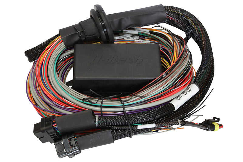 Haltech Elite 1500 8ft Premium Universal Wire-In Harness - eliteracefab.com