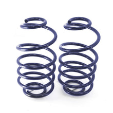 Load image into Gallery viewer, Ridetech 68-72 GM A-Body StreetGRIP Dual-Rate Coil Springs Rear Pair