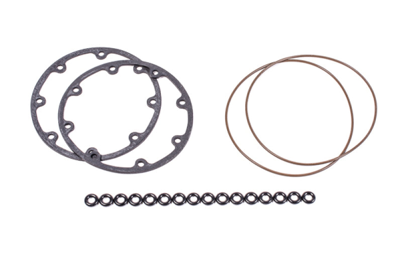 Radium Engineering Fuel Surge Tank O-Ring Service Kit - eliteracefab.com