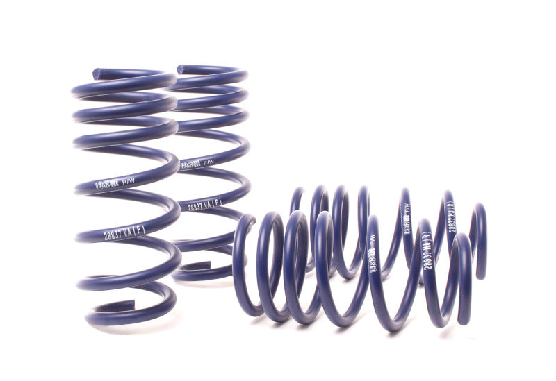 H&R 13-18 BMW M6/M6 Convertible F12/F13 Sport Spring - eliteracefab.com