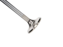 Load image into Gallery viewer, Manley Extreme Duty Stainless Steel Exhaust Valves  1.600, +.100 - Set of 8