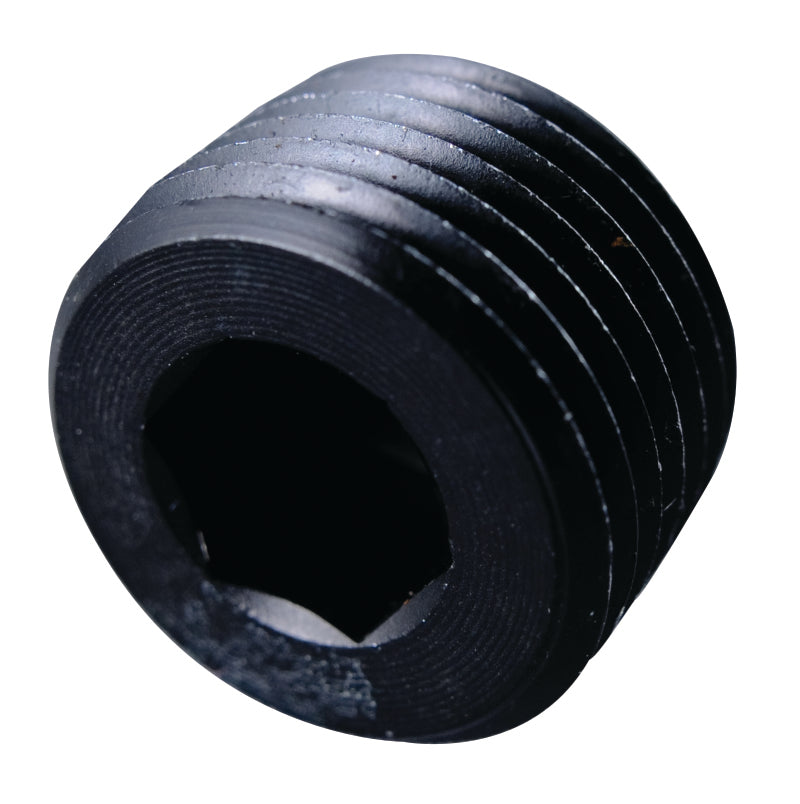 Fragola 1in NPT Pipe Plug Internal Black - eliteracefab.com