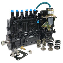 Load image into Gallery viewer, BD Diesel AFC Spring Kit - 1994-1998 Dodge 12-valve/P7100 Bosch Pump