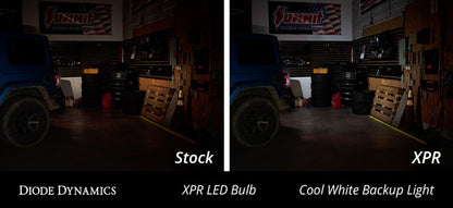 Diode Dynamics 3157 XPR LED Bulb - Cool - White (Pair) Diode Dynamics