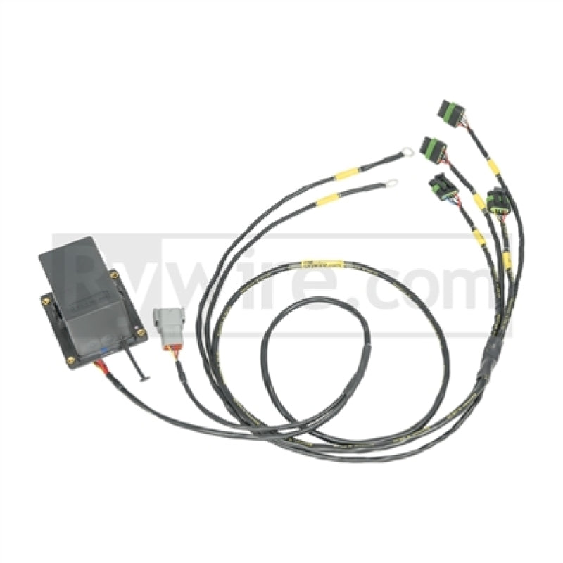 Rywire IGBT (AEM/IGN-1A) Coil Sub-Harness for 2 Rotor Engines - eliteracefab.com