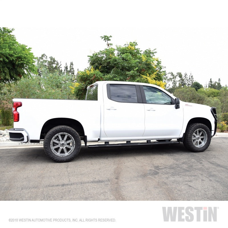 Westin 2019 Chevrolet Silverado/Sierra 1500 CC (5.5ft) PRO TRAXX 5 WTW Oval Nerf Step Bars - Black - eliteracefab.com
