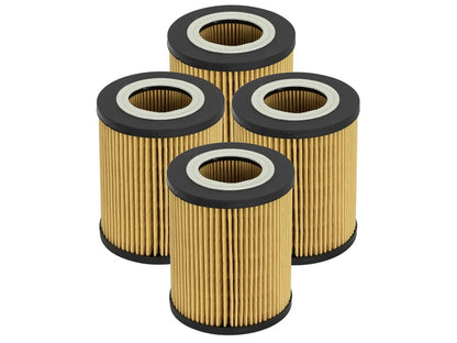 aFe Pro GUARD D2 Oil Filter 96-06 BMW Gas Cars L6 (4 Pack)