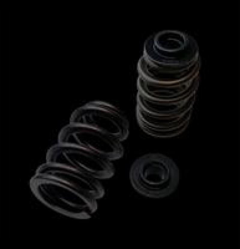 Brian Crower Polaris XP1000/XPTurbo/XP900 Dual Spring/Titanium Retainer/Seat Kit - BC0900D Brian Crower