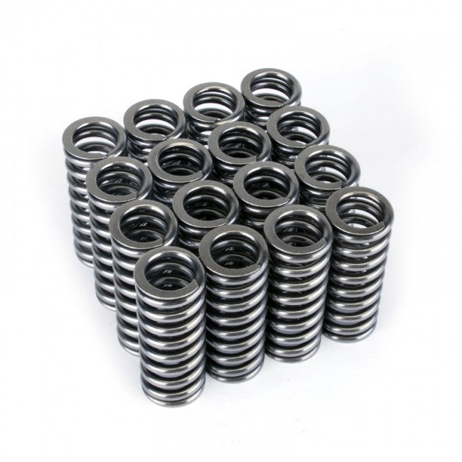 Skunk2 Alpha Series Honda D Series VTEC Valve Spring Set - eliteracefab.com