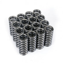 Load image into Gallery viewer, Skunk2 Alpha Series Honda D Series VTEC Valve Spring Set - eliteracefab.com