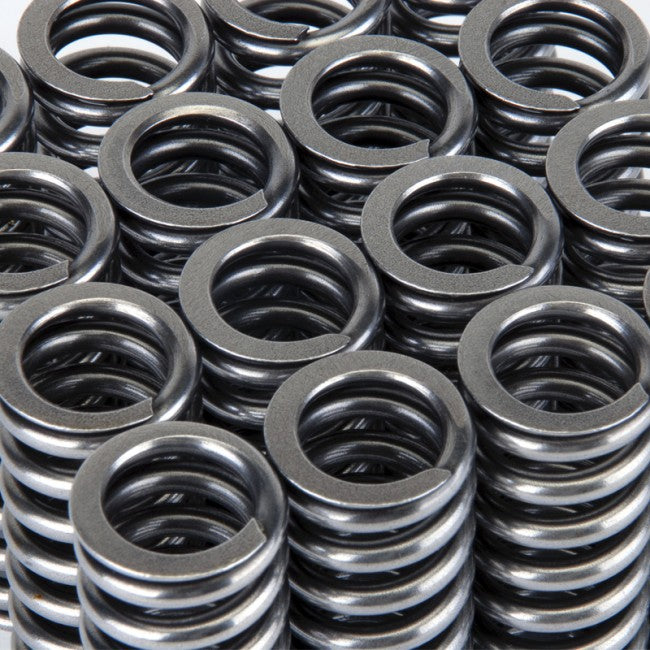 Skunk2 Alpha Series Honda D Series VTEC Valve Spring Set - eliteracefab.com