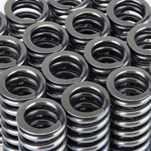 Load image into Gallery viewer, Skunk2 Alpha Series Honda D Series VTEC Valve Spring Set - eliteracefab.com