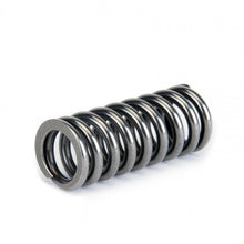 Load image into Gallery viewer, Skunk2 Alpha Series Honda D Series VTEC Valve Spring Set - eliteracefab.com