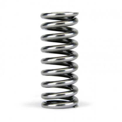 Skunk2 Alpha Series Honda D Series VTEC Valve Spring Set - eliteracefab.com