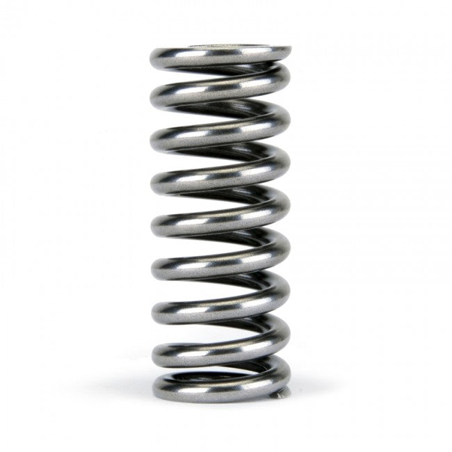 Skunk2 Alpha Series Honda D Series VTEC Valve Spring Set - eliteracefab.com