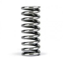 Load image into Gallery viewer, Skunk2 Alpha Series Honda D Series VTEC Valve Spring Set - eliteracefab.com