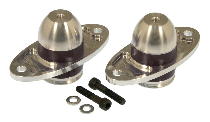 Prothane 05-06 Ford Mustang Bullet Motor Mounts - Black - eliteracefab.com