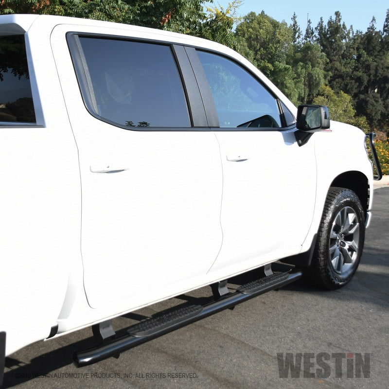 Westin 2019 Chevrolet Silverado/Sierra 1500 Crew Cab Non LD PRO TRAXX 4 Oval Nerf Step Bars - Black - eliteracefab.com
