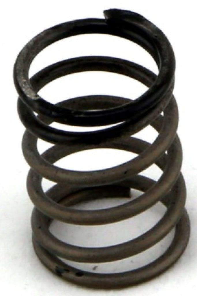 Turbosmart Gen-V WG38/40 3psi Black Inner Spring - eliteracefab.com