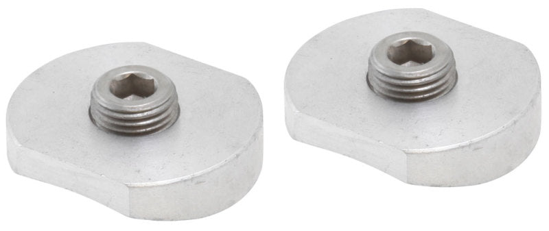 AEM 1/8in NPT Injector Bung Weld-In Fitting (2 Pack) - eliteracefab.com