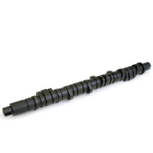 Load image into Gallery viewer, Skunk2 Tuner Series D-Series Honda Stage 2 Camshaft - eliteracefab.com