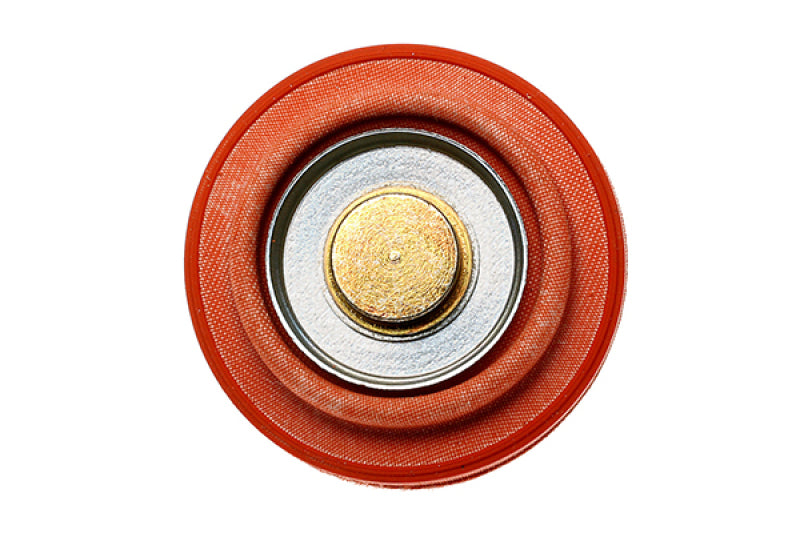 Radium Engineering Diaphragm Service Replacement FPR - eliteracefab.com