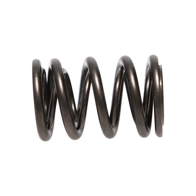 Manley Honda B Series Non V-Tec 16pc Valve Springs Manley Performance