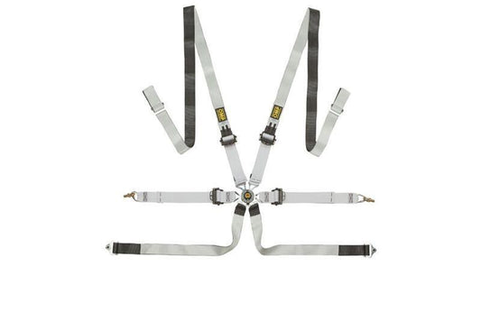 OMP ONE-D 2" 6-Point Pull-Down Racing Harness - Black/White - FIA 8853-2016 - DA0-0102-A01-076