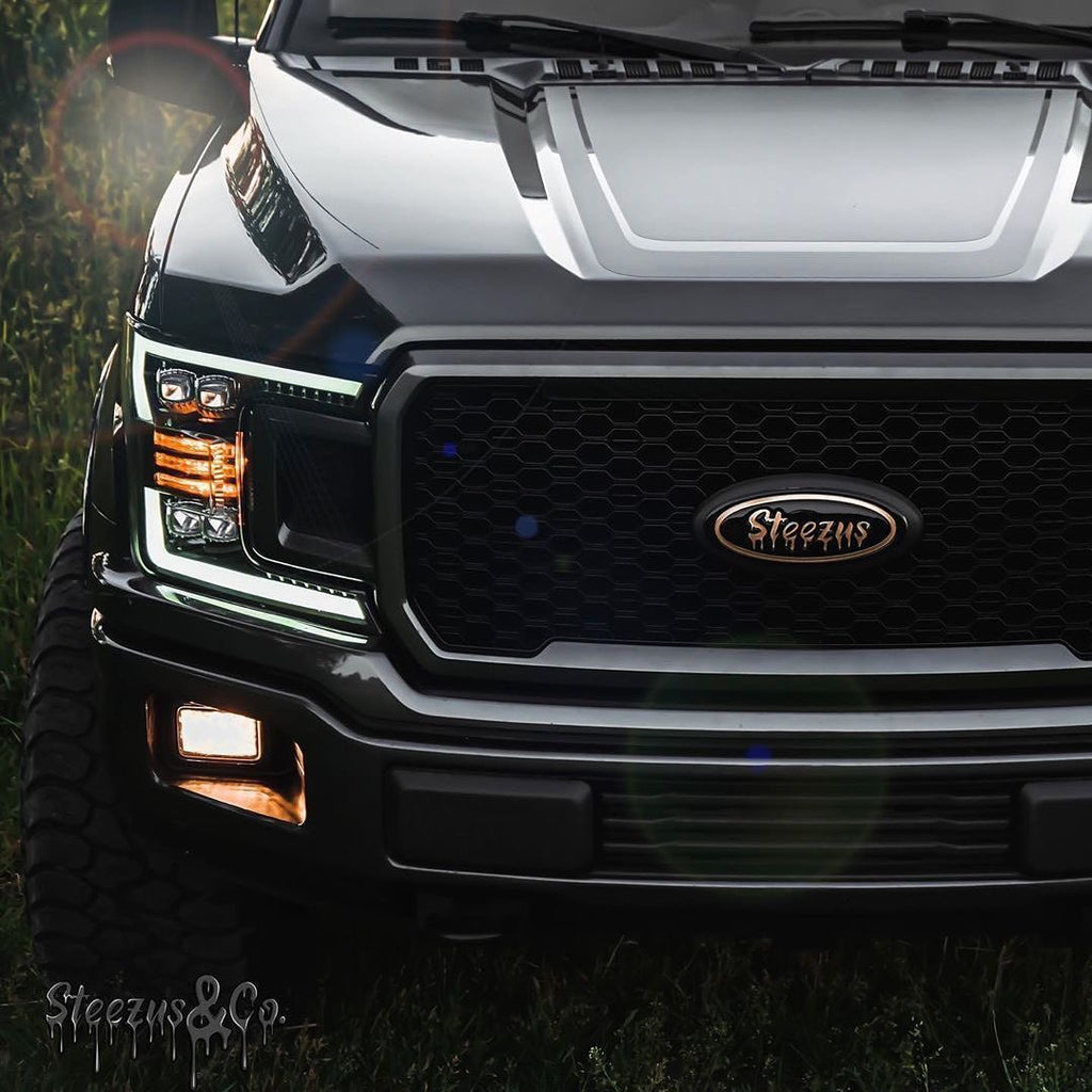 18-20 Ford F150 PRO-Series Projector Headlights Black - eliteracefab.com