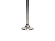 Load image into Gallery viewer, Manley Extreme Duty Stainless Steel Exhaust Valves  1.600, +.100 - Set of 8