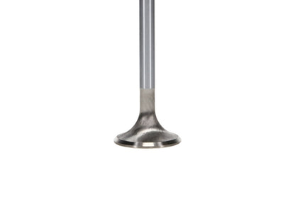 Manley 99-12 Ford 4.6L/281 5.4L/330 V8 37mm Race Series Stainless Steel Intake Valves (Set of 8)