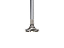 Load image into Gallery viewer, Manley Ford Coyote 5.0L 31.5mm Extreme Duty Exhaust Valves (Set of 8)