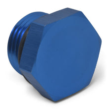 Load image into Gallery viewer, Russell Performance -10 AN Straight Thread Plug (Blue)