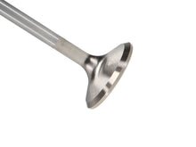 Load image into Gallery viewer, Manley Chevy L83 5.3L 1.560in Head Diameter Pro Flo/Extreme Duty Exhaust Valves (Set of 8)