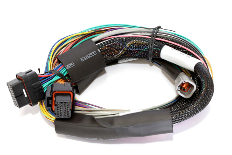 Haltech Elite 2500 Basic Universal Wire-In Harness ECU Kit - eliteracefab.com