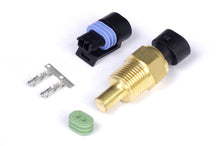 Load image into Gallery viewer, Haltech Coolant Temp Sensor 3/8 NPT 18 TPI (Incl Delphi Plug &amp; Pins) - eliteracefab.com