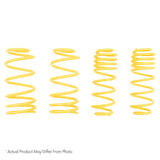 ST Muscle Car Springs Mercury Cougar (GT only)