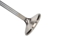 Load image into Gallery viewer, Manley Ford 4.6L 38.5mm Race Master &amp; Extreme Duty Exhaust Valves *Set of 8*