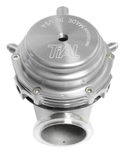 Load image into Gallery viewer, TiAL Sport 001930 MVR Wastegate 44mm (All Springs) w/V-Band Clamps - Silver