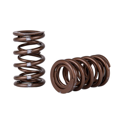 Skunk2 Pro Series Honda/Acura K-Series i-VTEC XP Valve Spring Set (Dual Springs) - eliteracefab.com