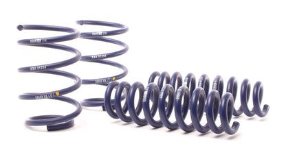 H&R 13-15 BMW X1 sDrive28i E84 Sport Spring (2WD Only) - eliteracefab.com