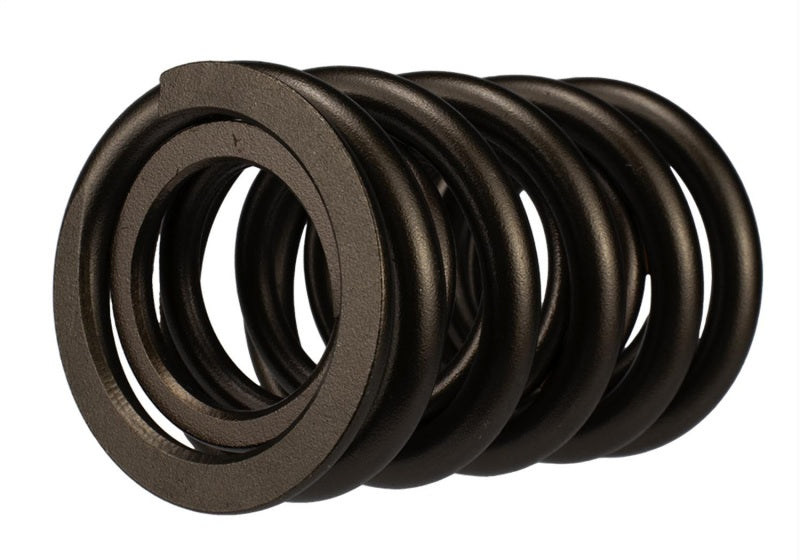 Ford Racing Replacement Valve Springs (TVS-1734) - Set Of 8 Ford Racing