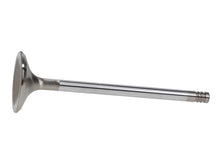 Load image into Gallery viewer, Manley Ford 6.2L 42mm Diameter 5.356in O/A Length Race Master Exhaust Valves (Set of 8)